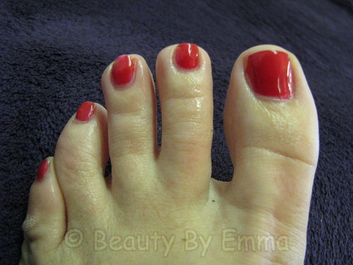 Shellac Wildfire - Day 6
